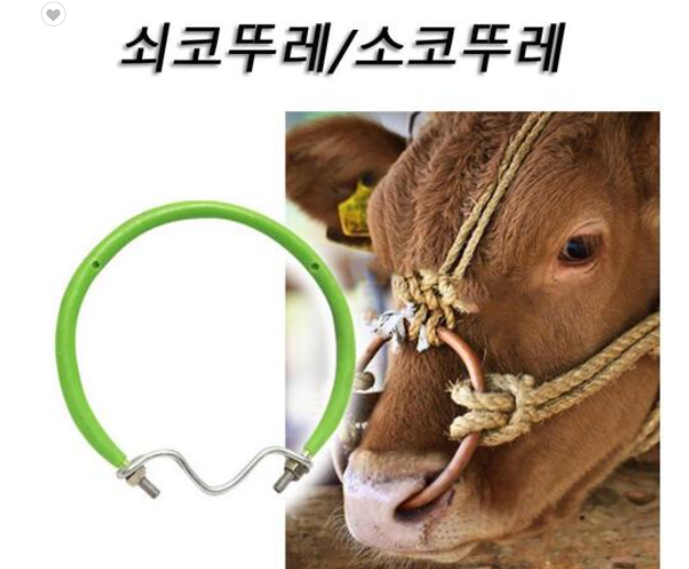 尹을 구치소에서 끌어내는 확실한 방법