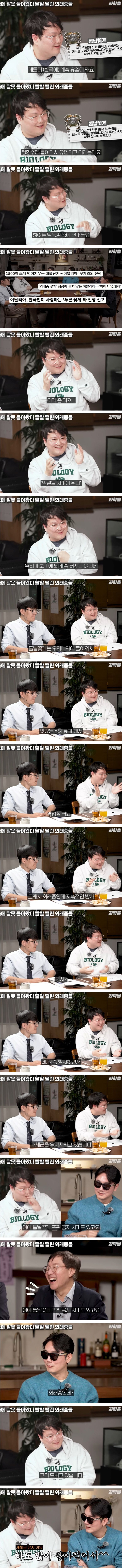 한국에서 적극적으로 보호중인 ‘외래종’.jpg