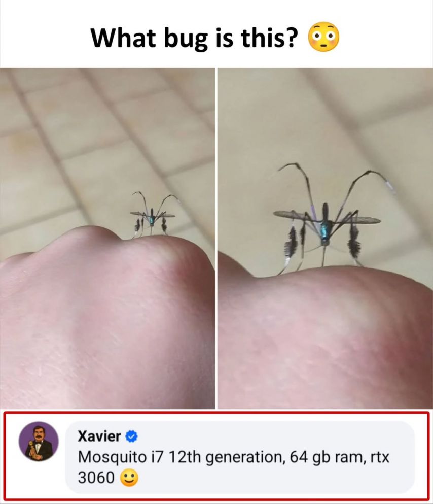 이 벌레는 무엇인가요?