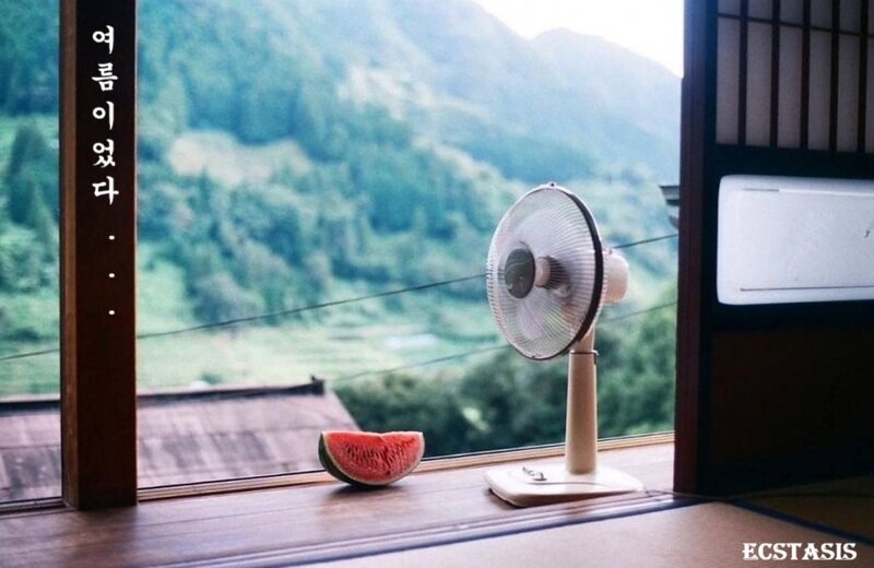 28살 모솔아다랑 사귀어본 일본녀의 후기