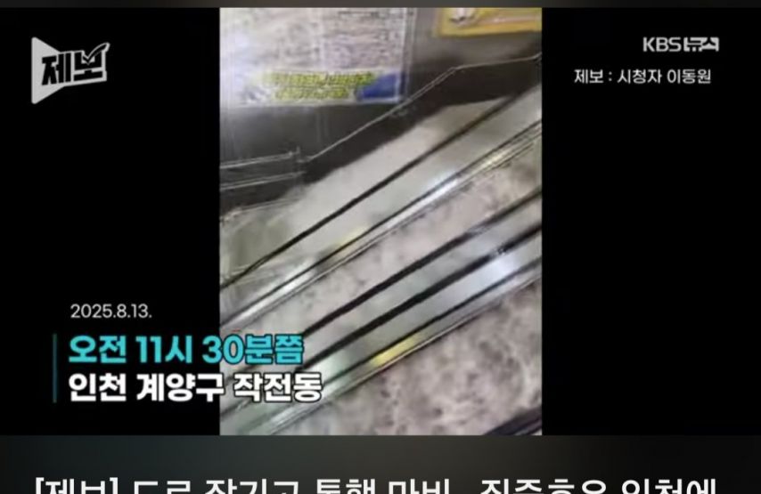 마계 인천 근황