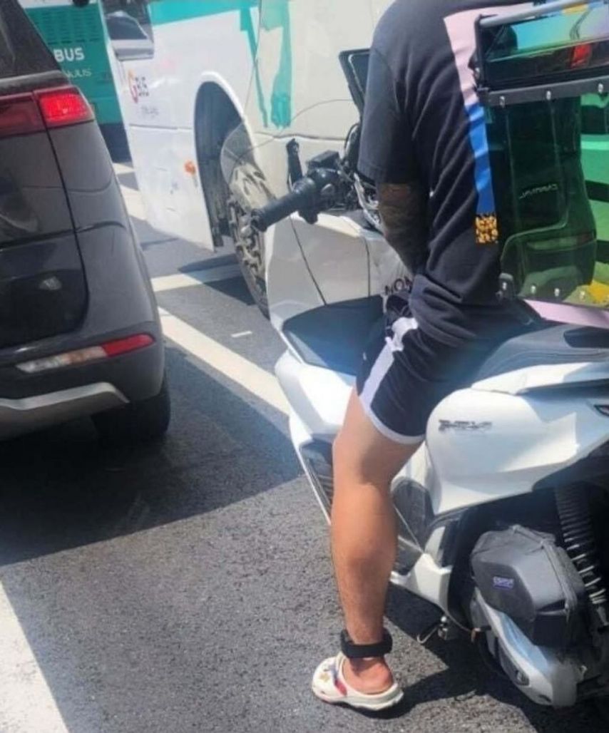 진정한 딸배