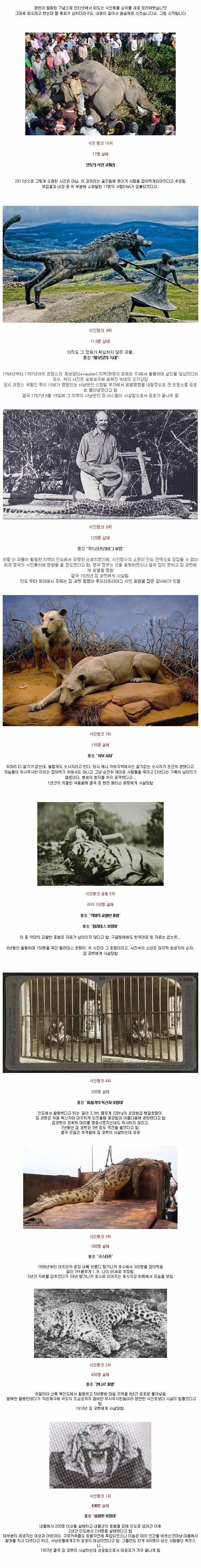 실존했던 식인동물