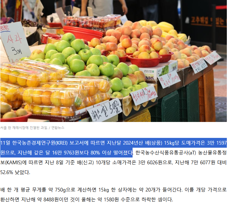 8000원→1500원, 80% 대폭락해버린 ‘국민 과일