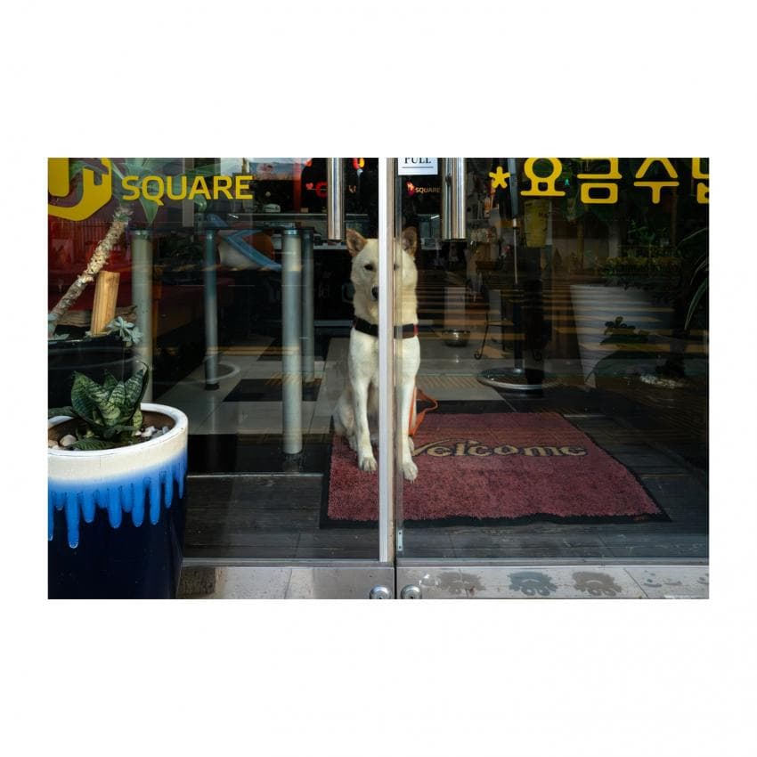 DC Inside 이미지 12