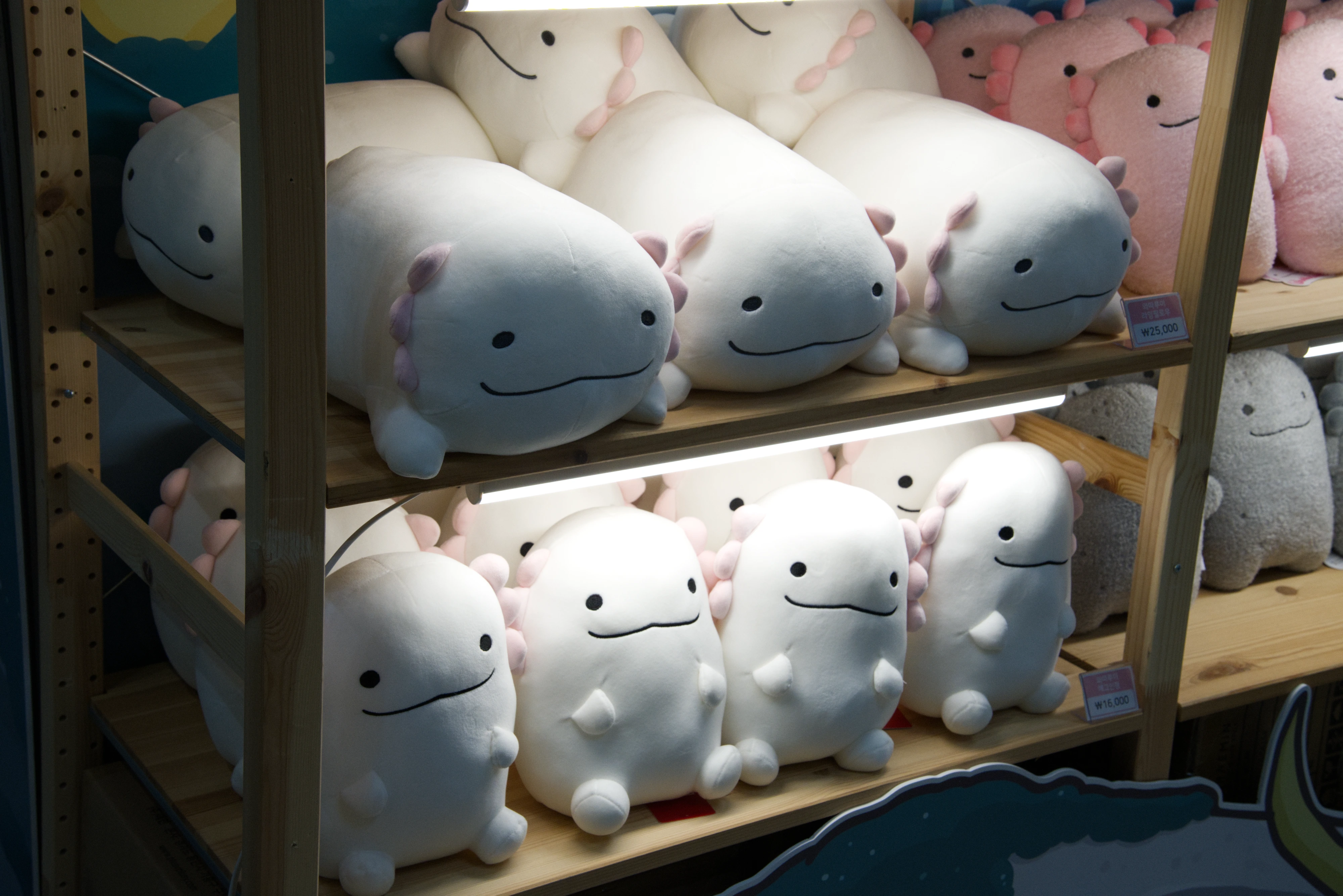 DC Inside 이미지 8