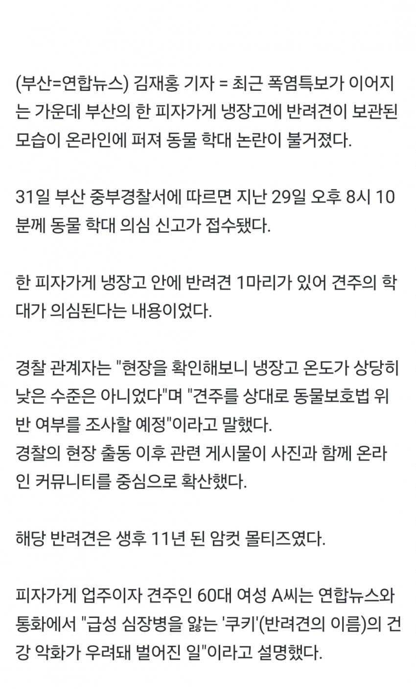 DC Inside 이미지 2
