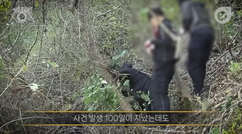 DC Inside 이미지 15