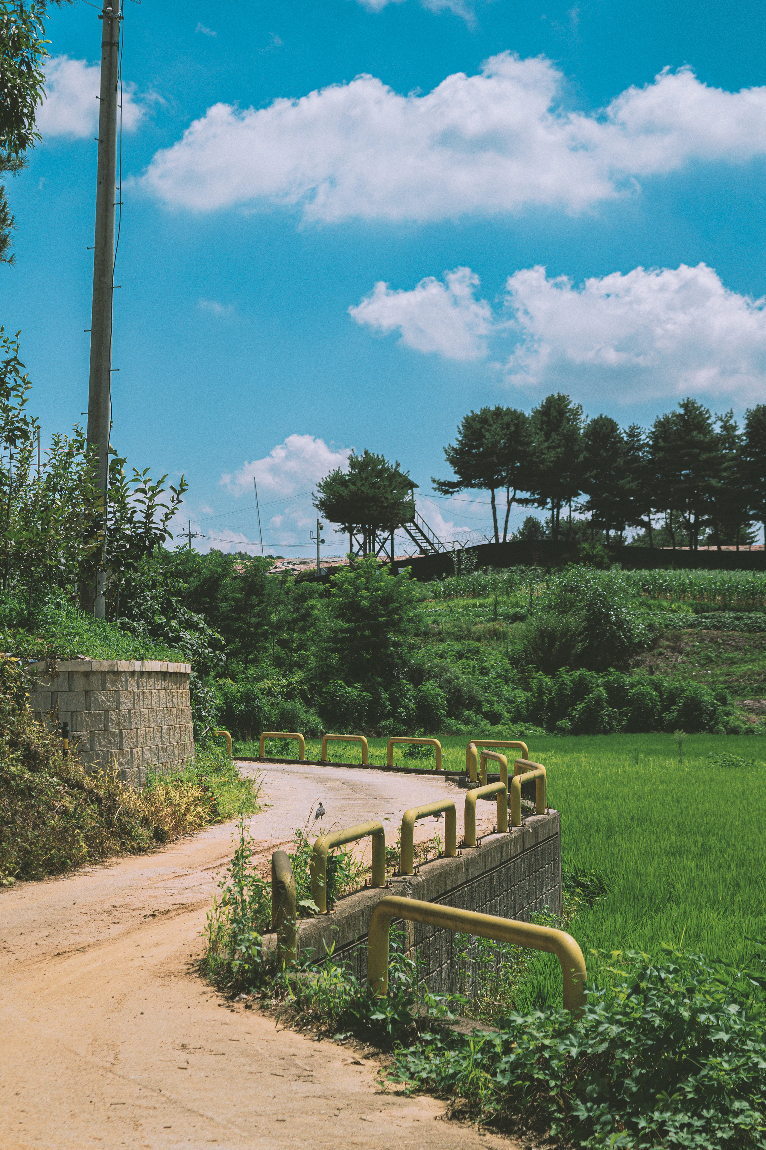 DC Inside 이미지 9