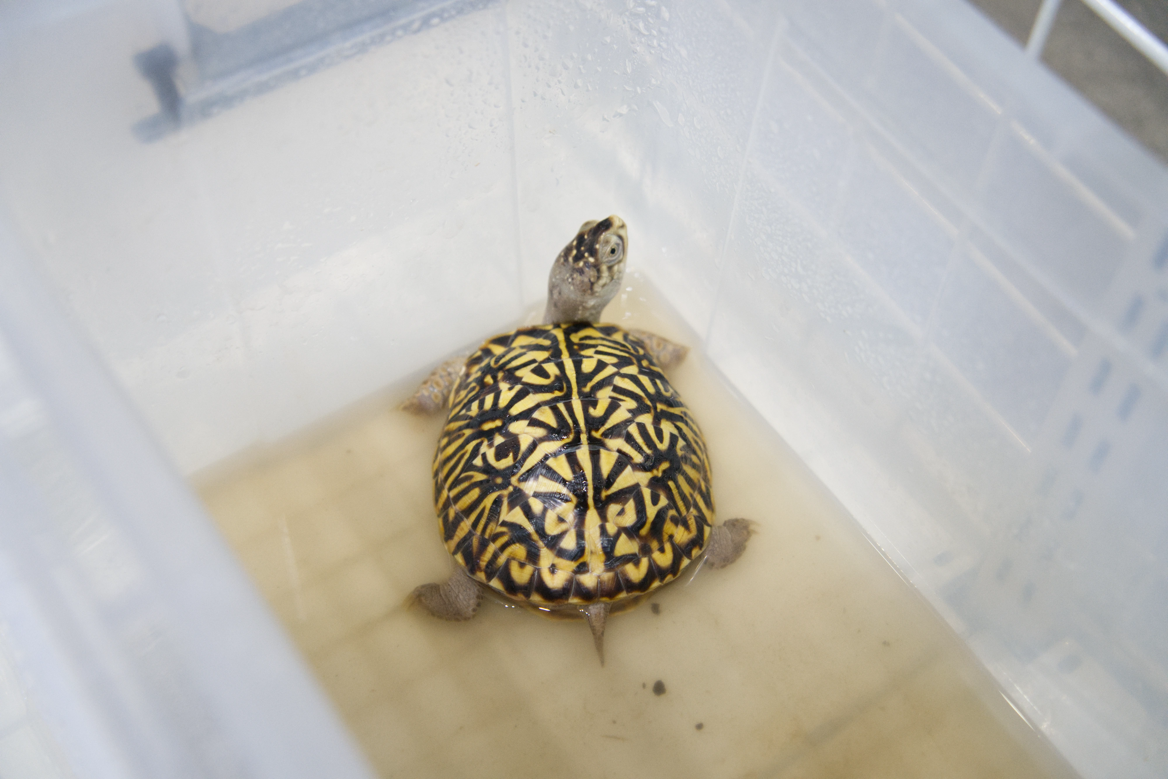 DC Inside 이미지 5