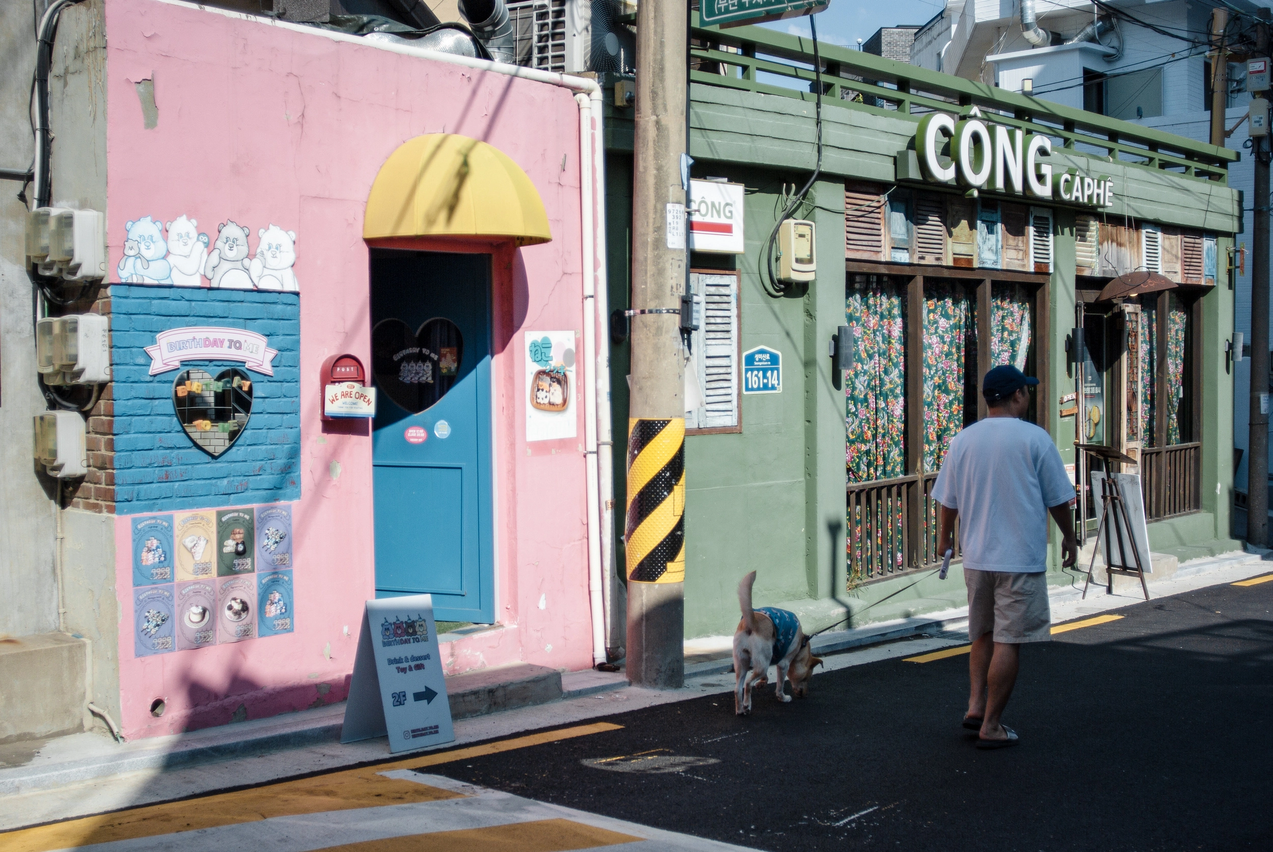 DC Inside 이미지 20