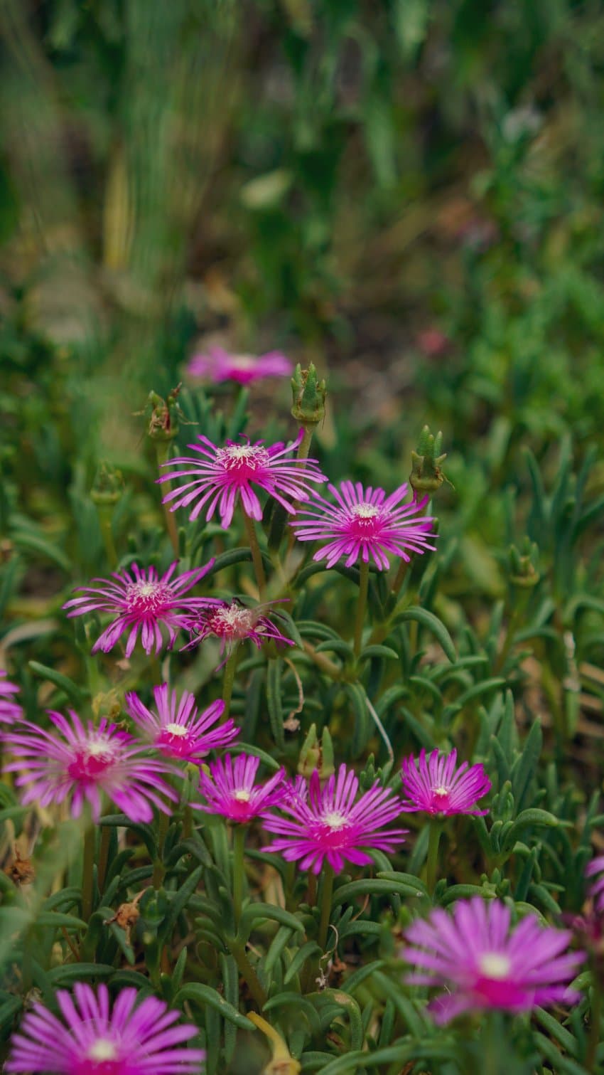 DC Inside 이미지 17