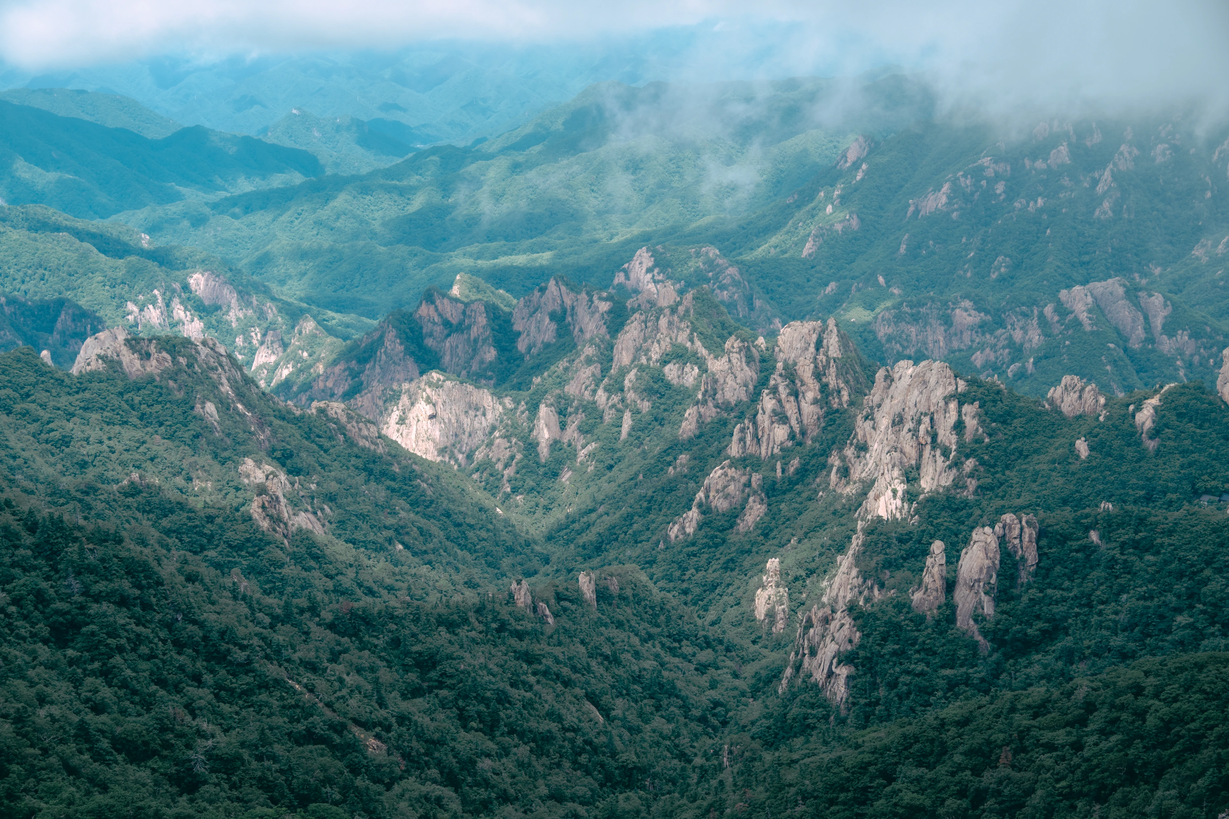 DC Inside 이미지 9