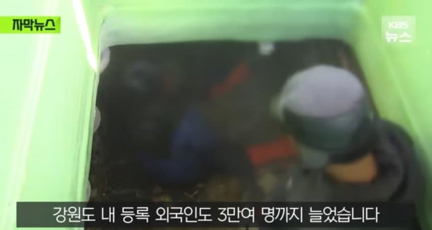 DC Inside 이미지 17