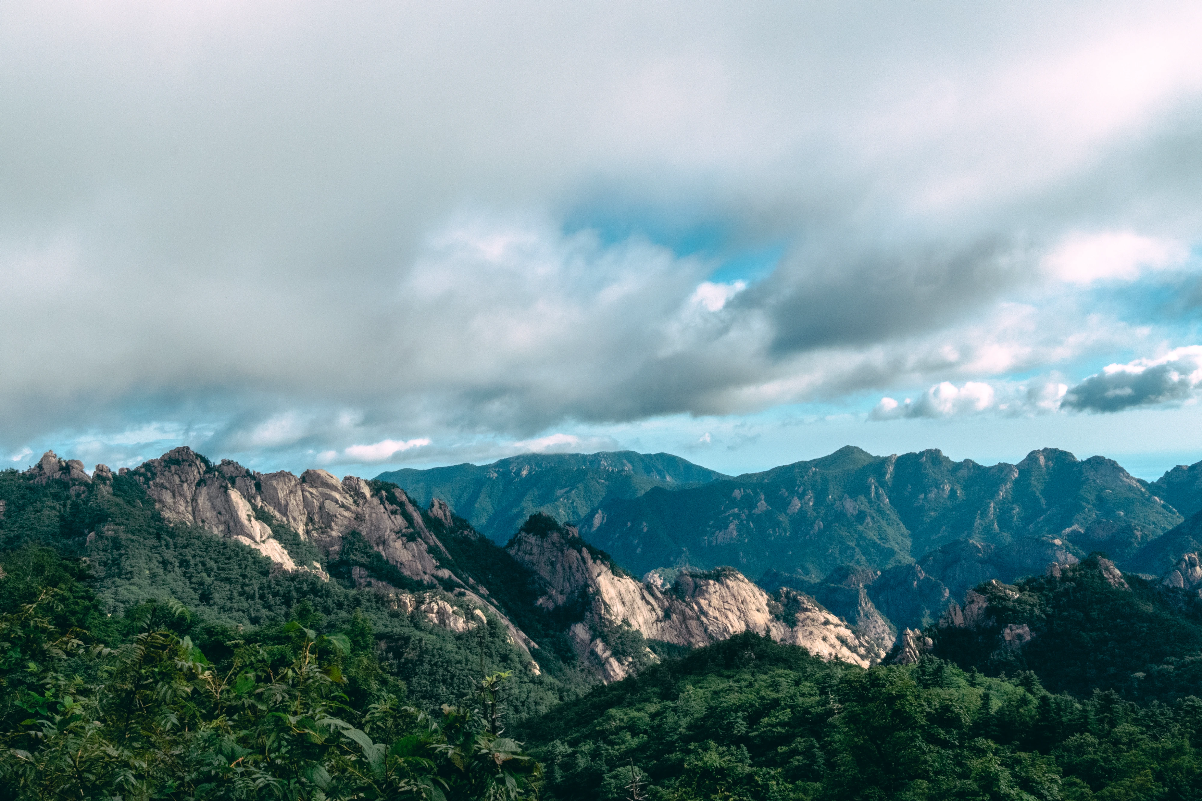 DC Inside 이미지 7