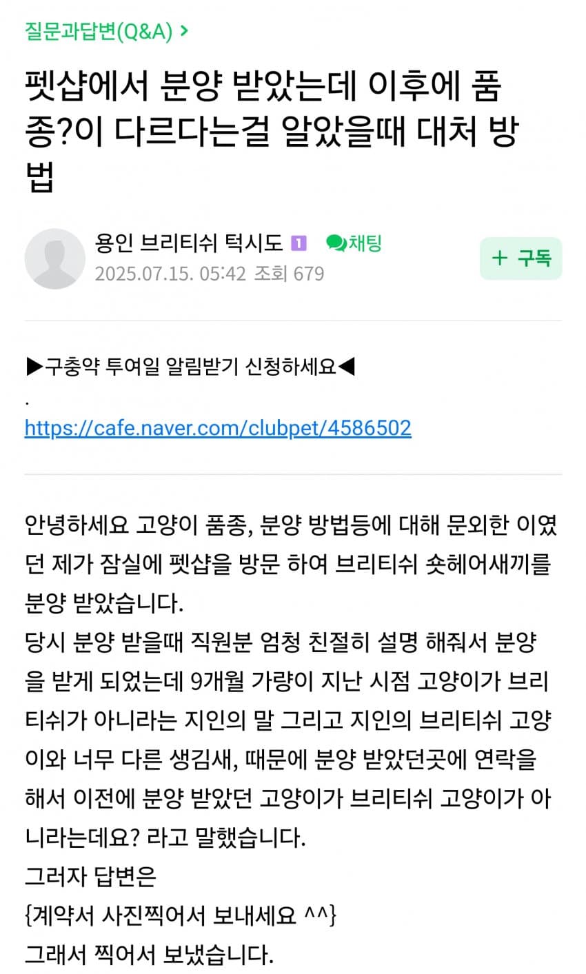 DC Inside 이미지 1