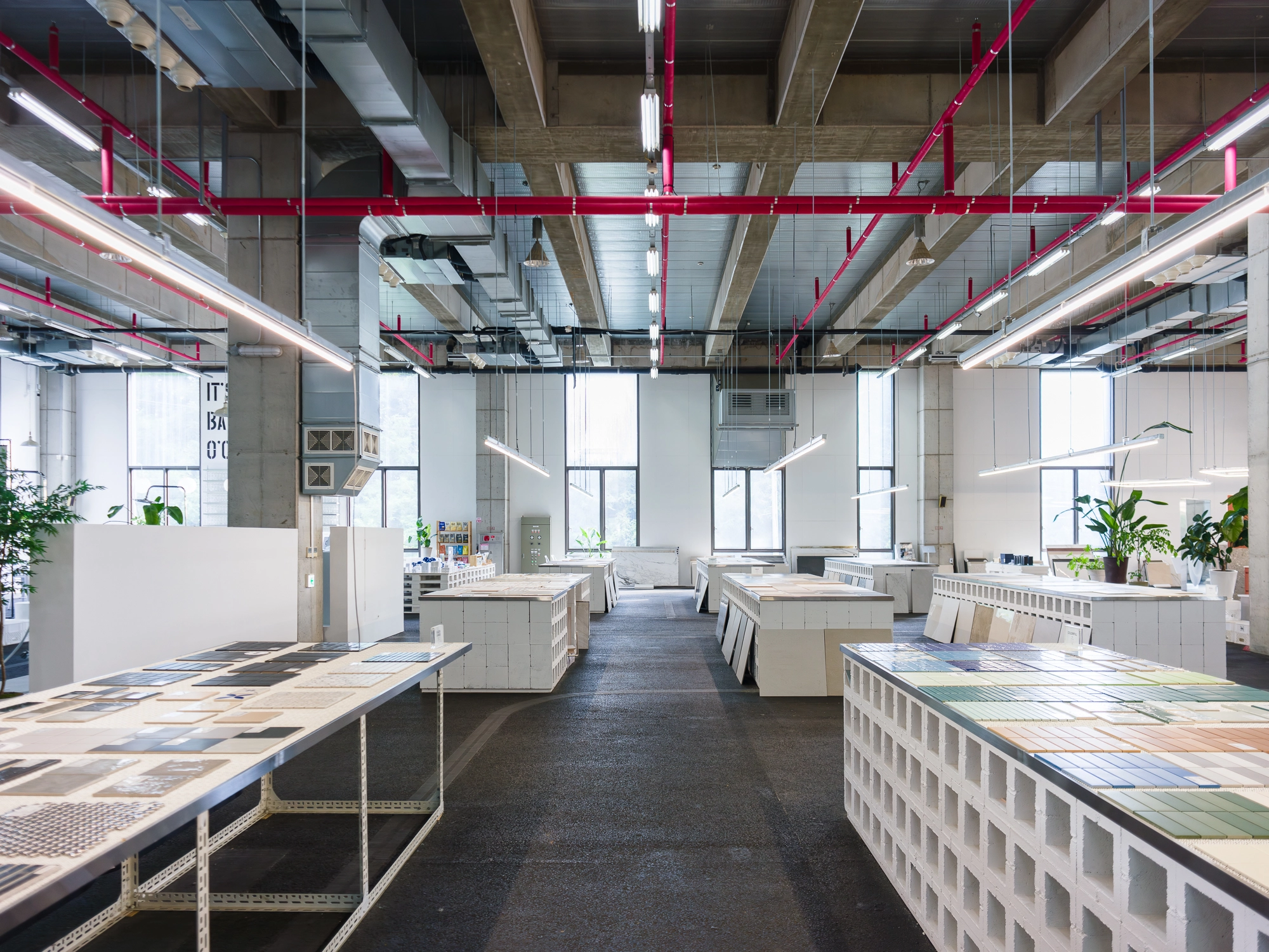 DC Inside 이미지 20