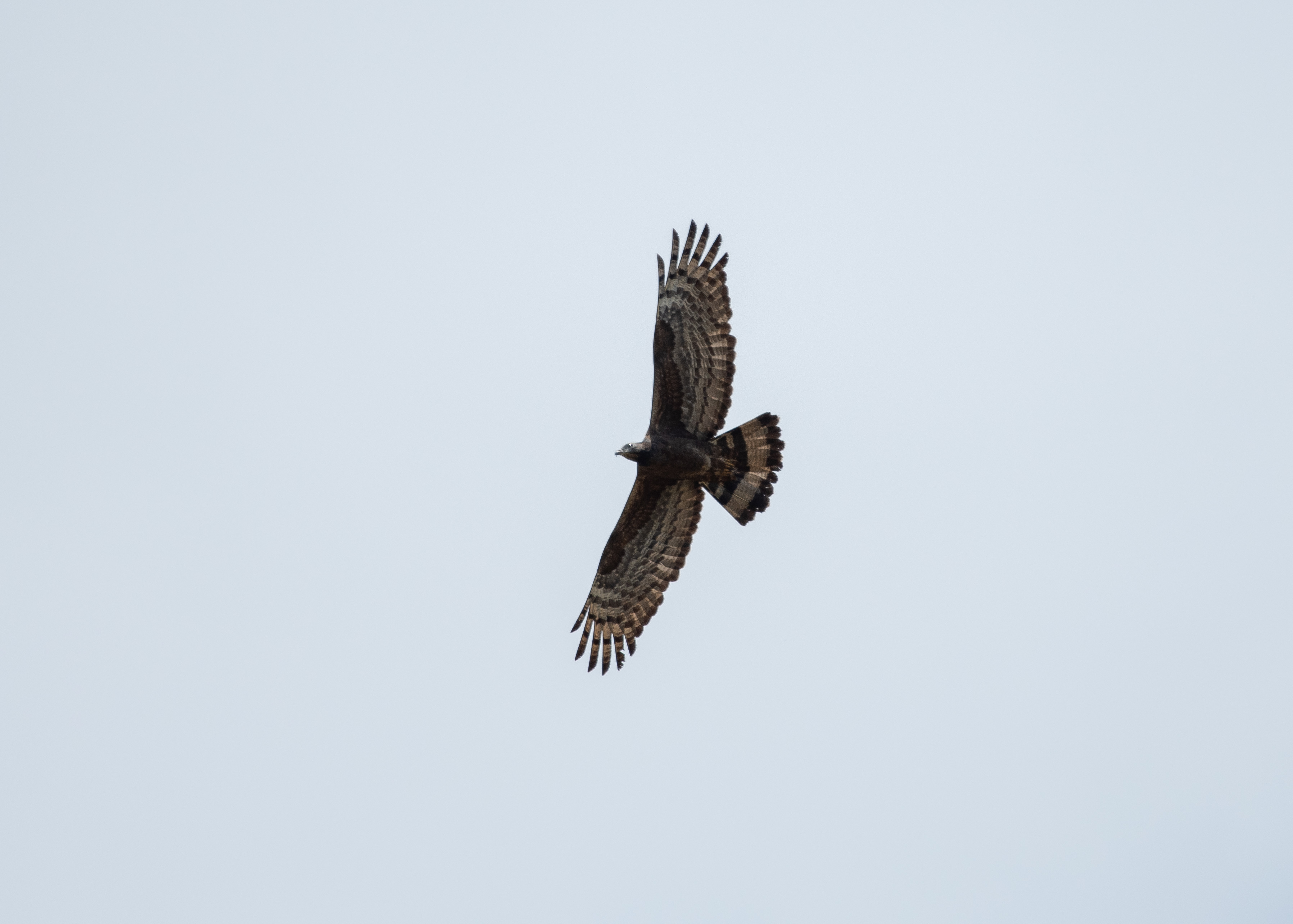 DC Inside 이미지 17