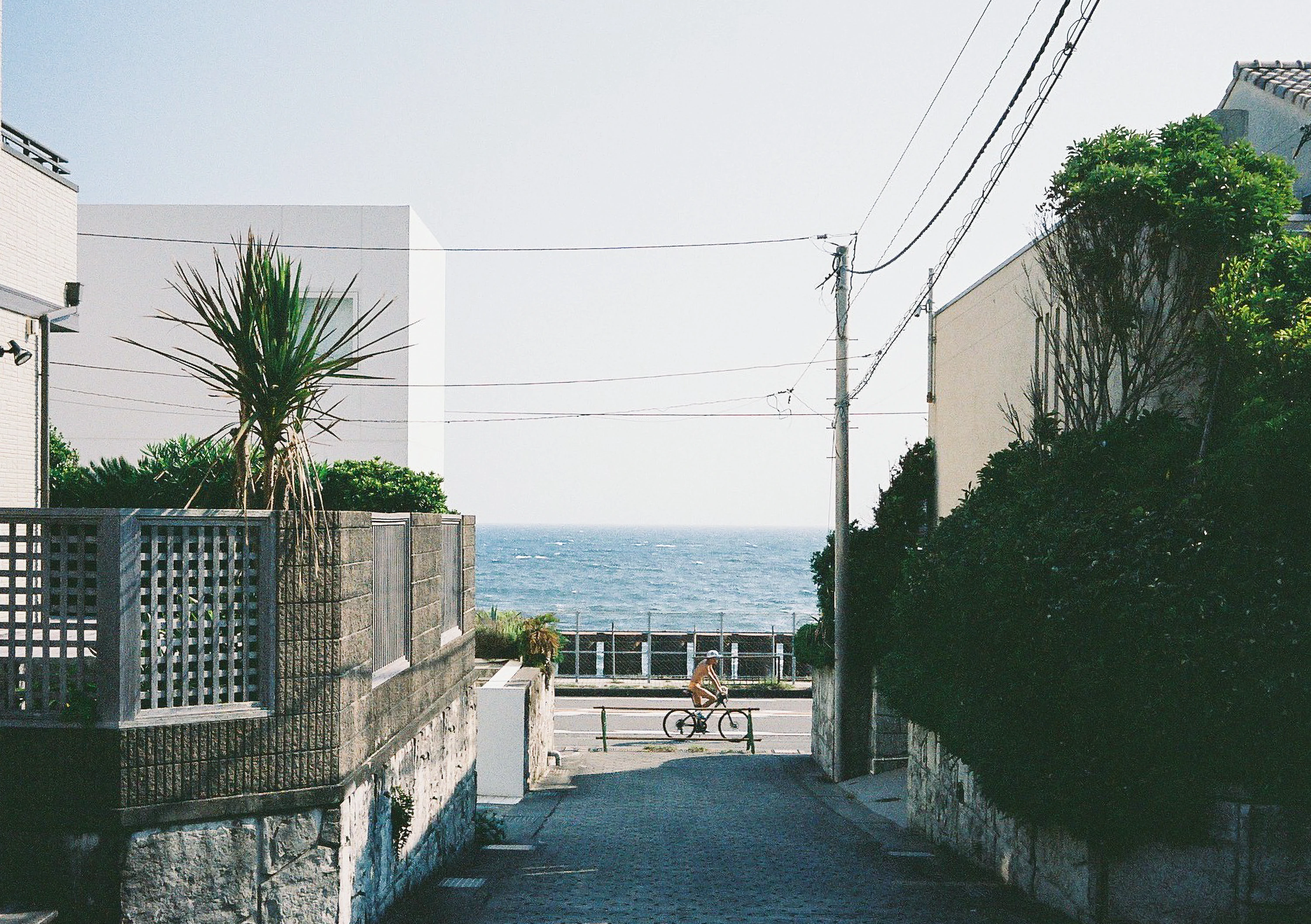 DC Inside 이미지 8