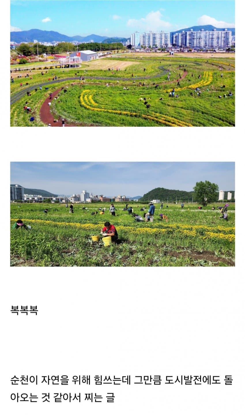 DC Inside 이미지 17