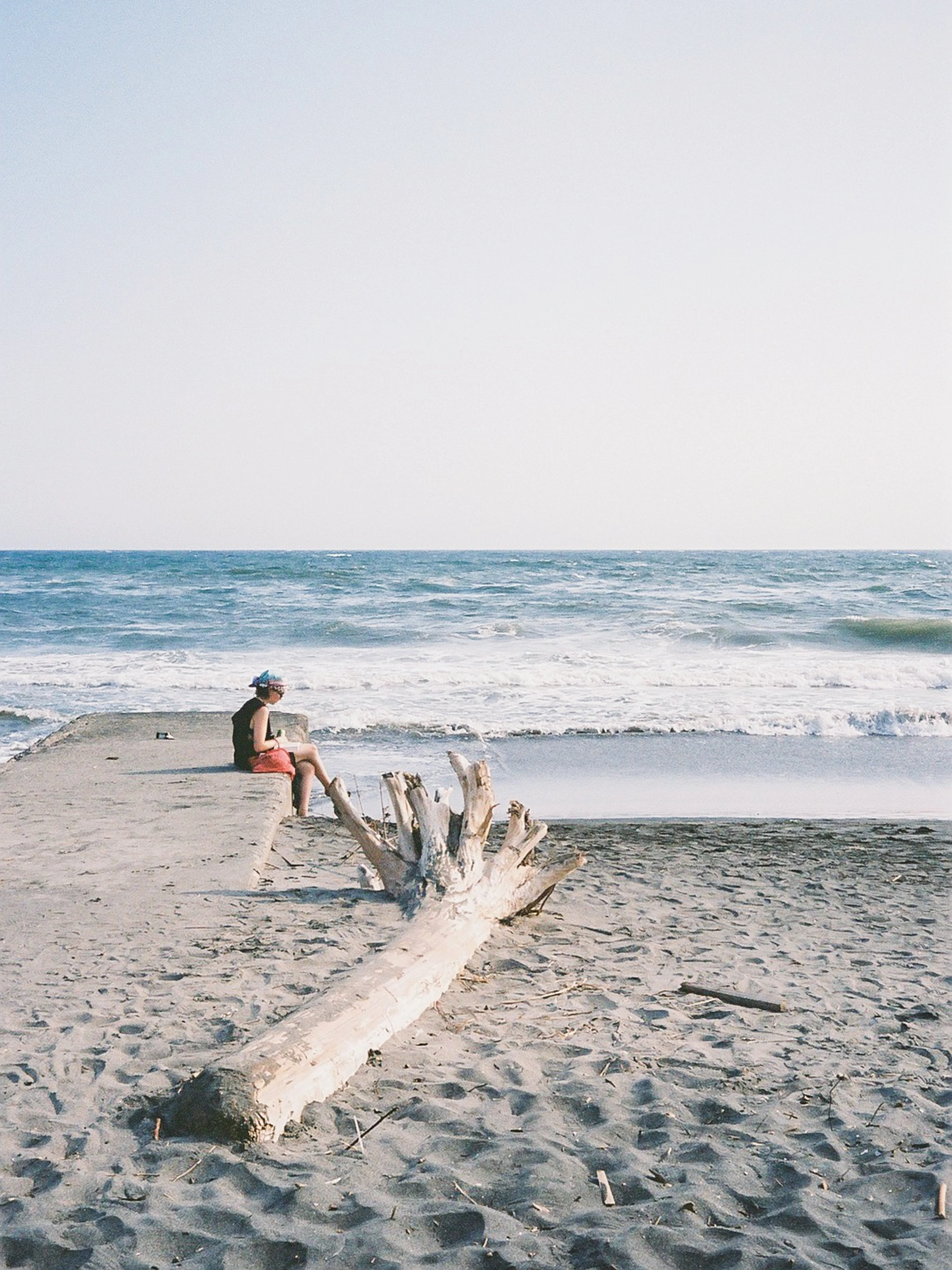 DC Inside 이미지 15