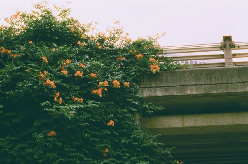 DC Inside 이미지 16