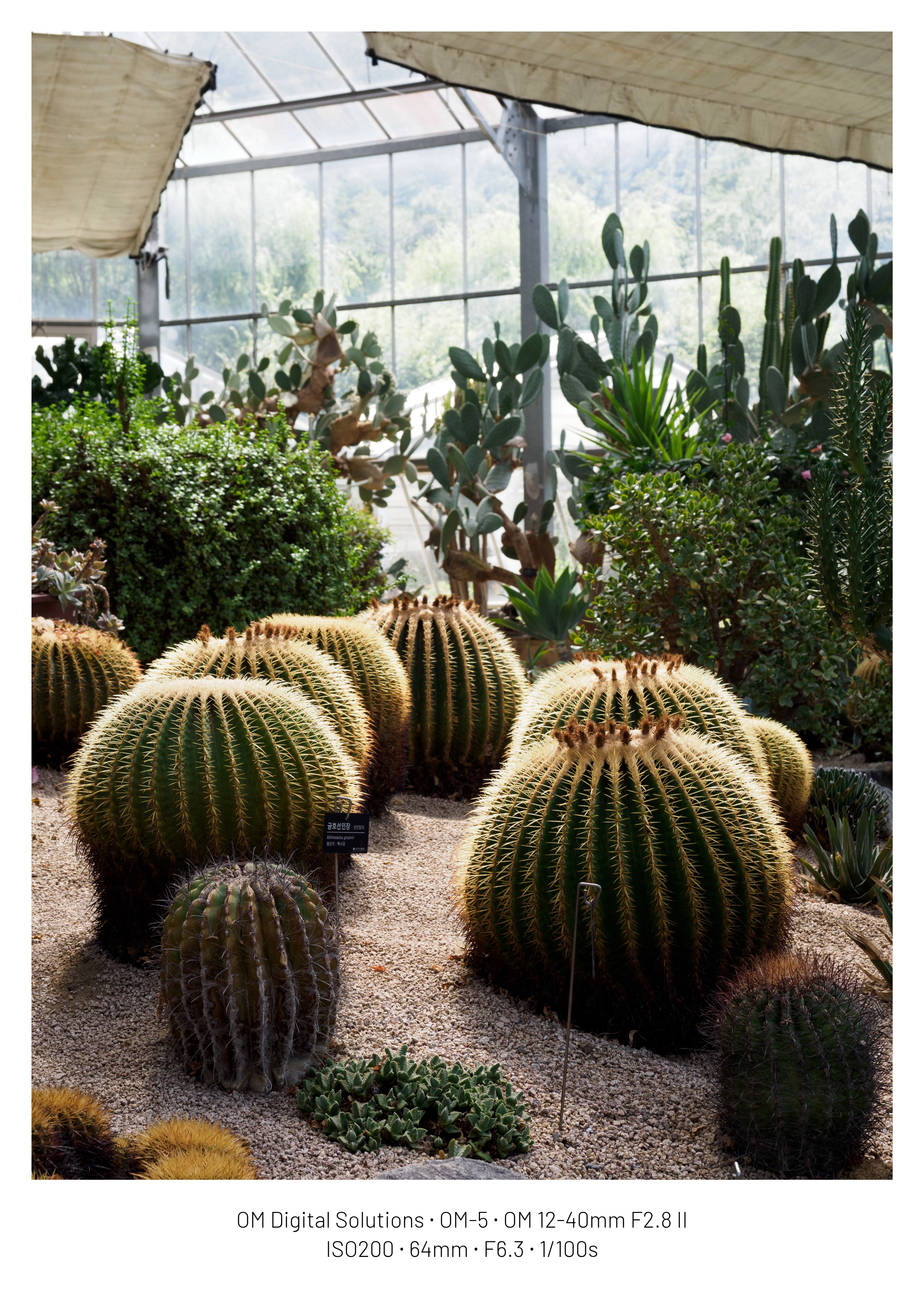 DC Inside 이미지 13