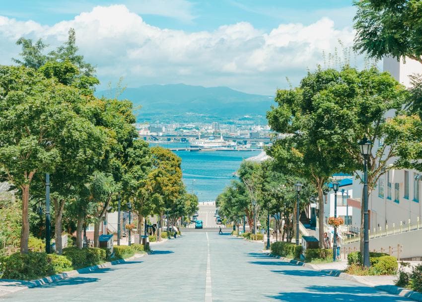 DC Inside 이미지 10