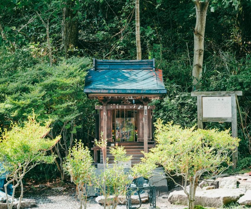 DC Inside 이미지 1