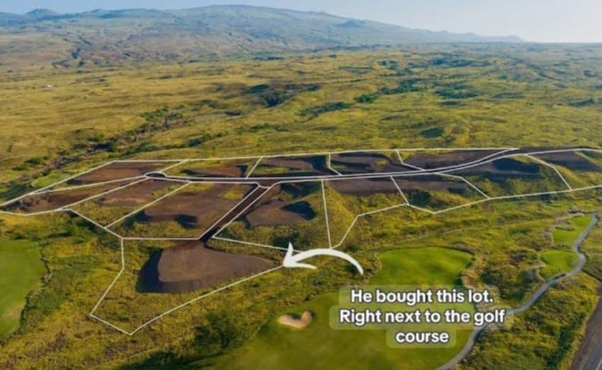 DC Inside 이미지 2