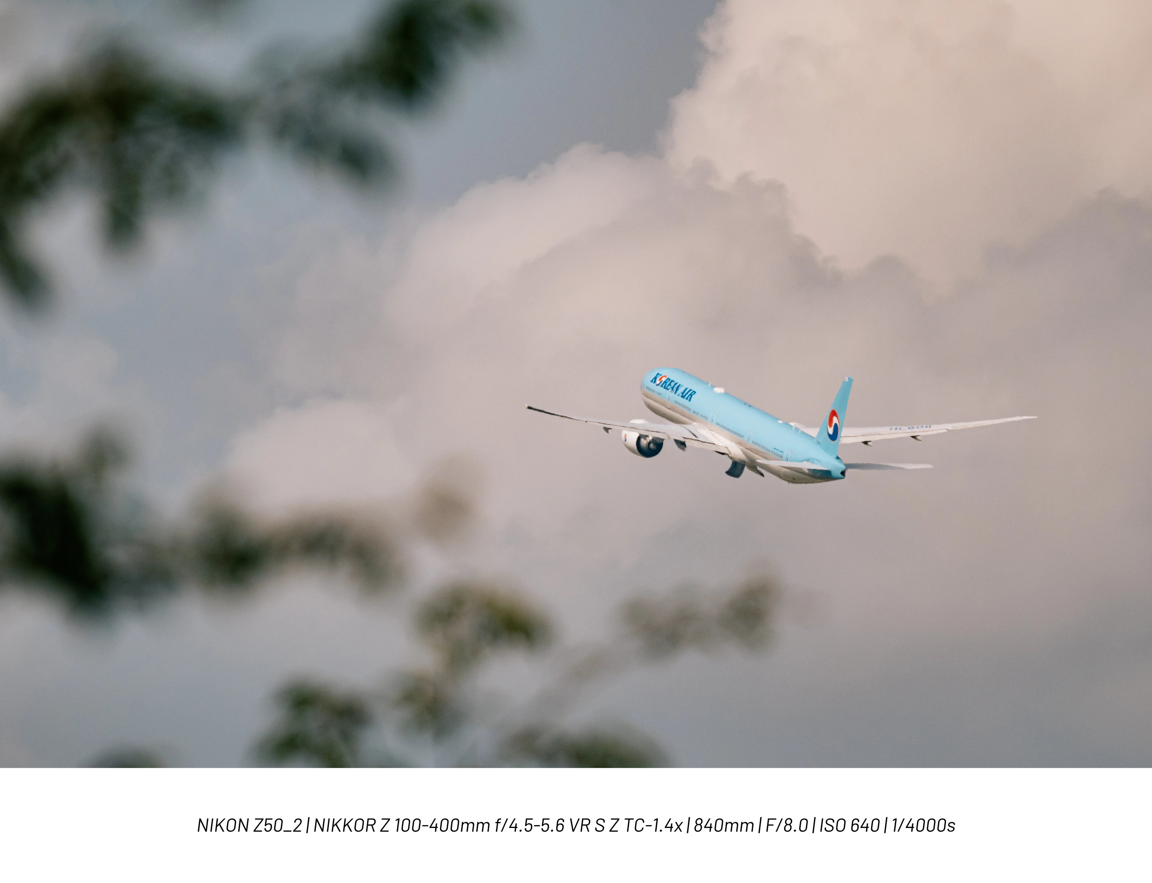 DC Inside 이미지 2