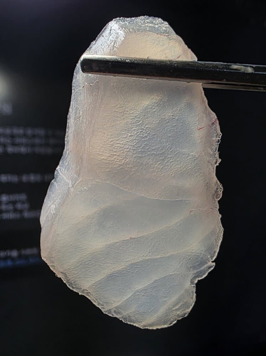 DC Inside 이미지 20