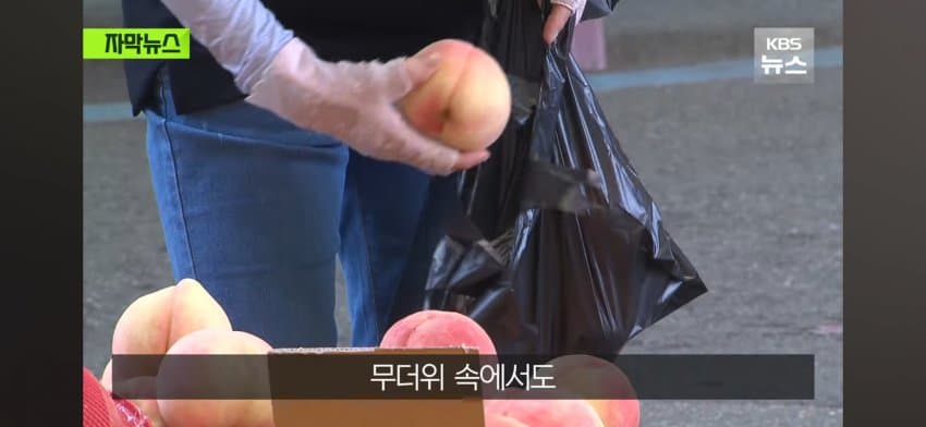 DC Inside 이미지 2