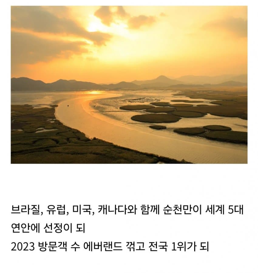 DC Inside 이미지 9