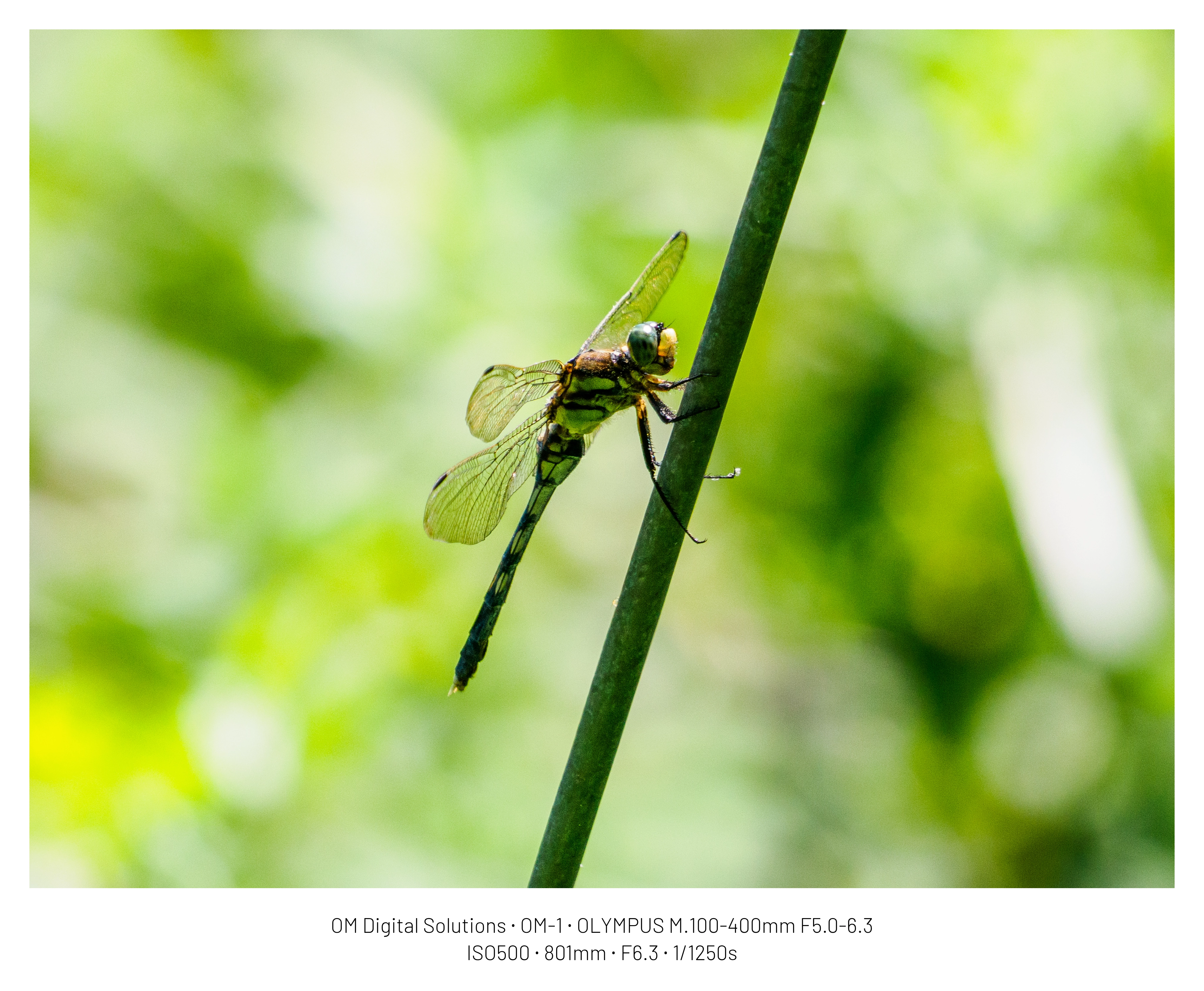 DC Inside 이미지 16