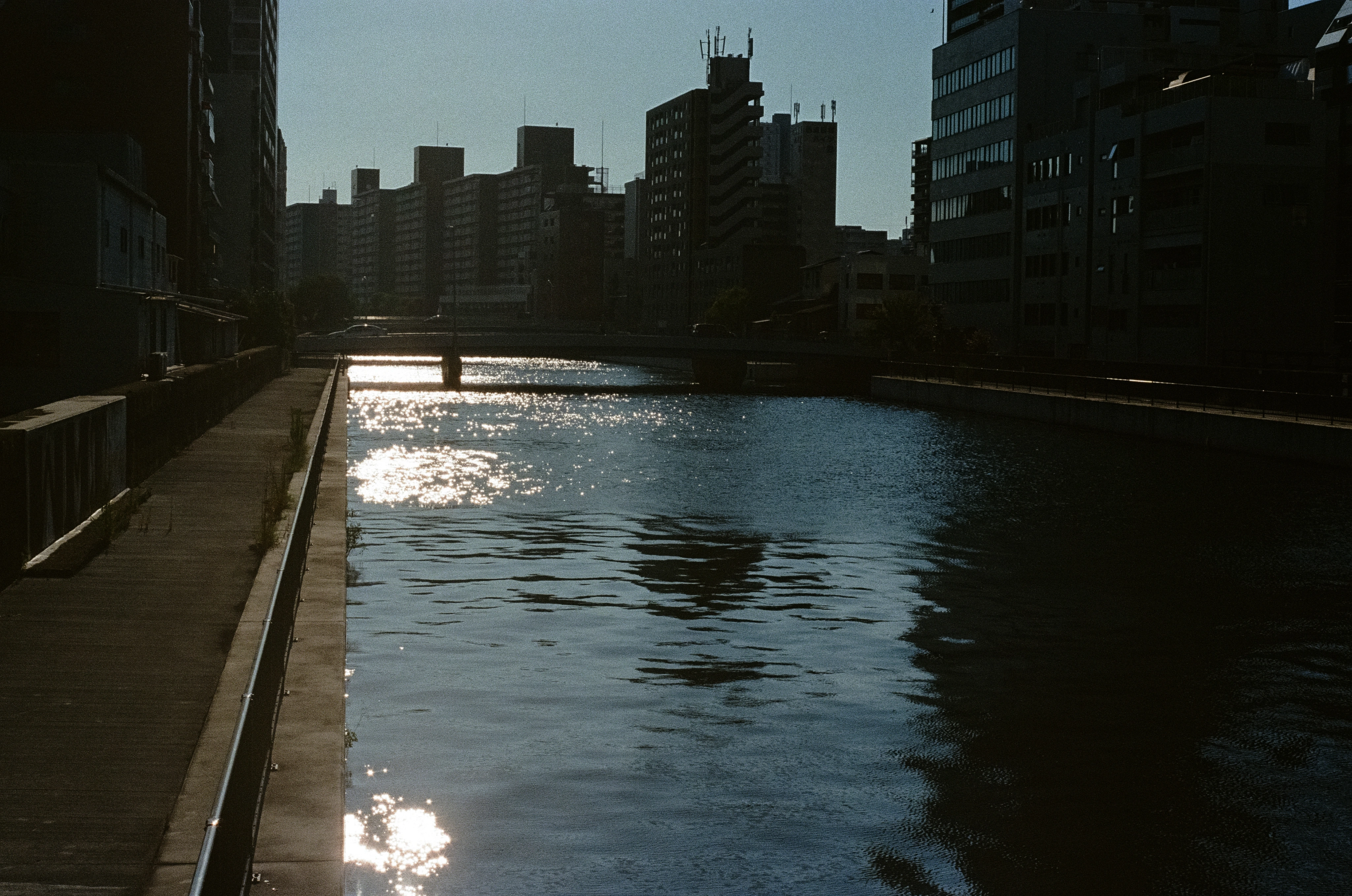 DC Inside 이미지 12