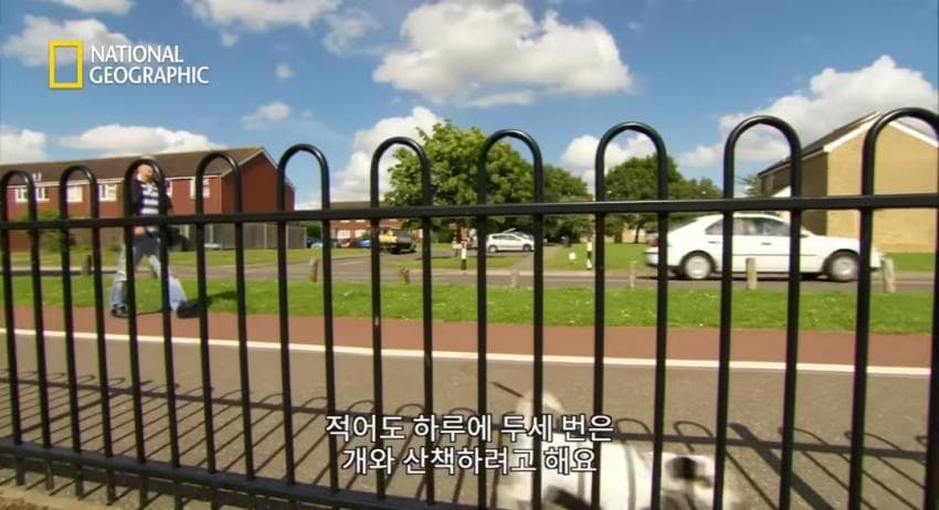 DC Inside 이미지 2