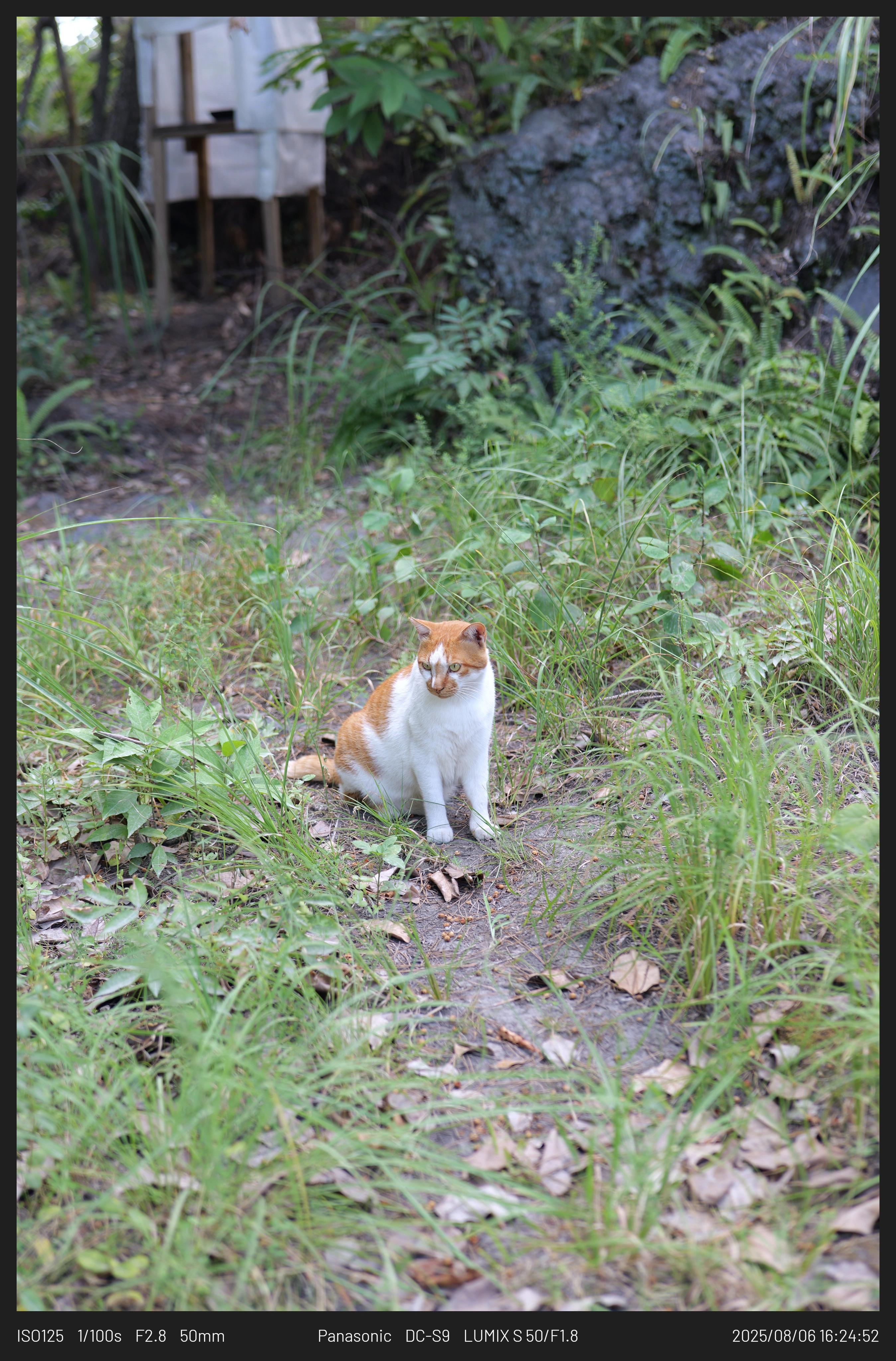 DC Inside 이미지 5