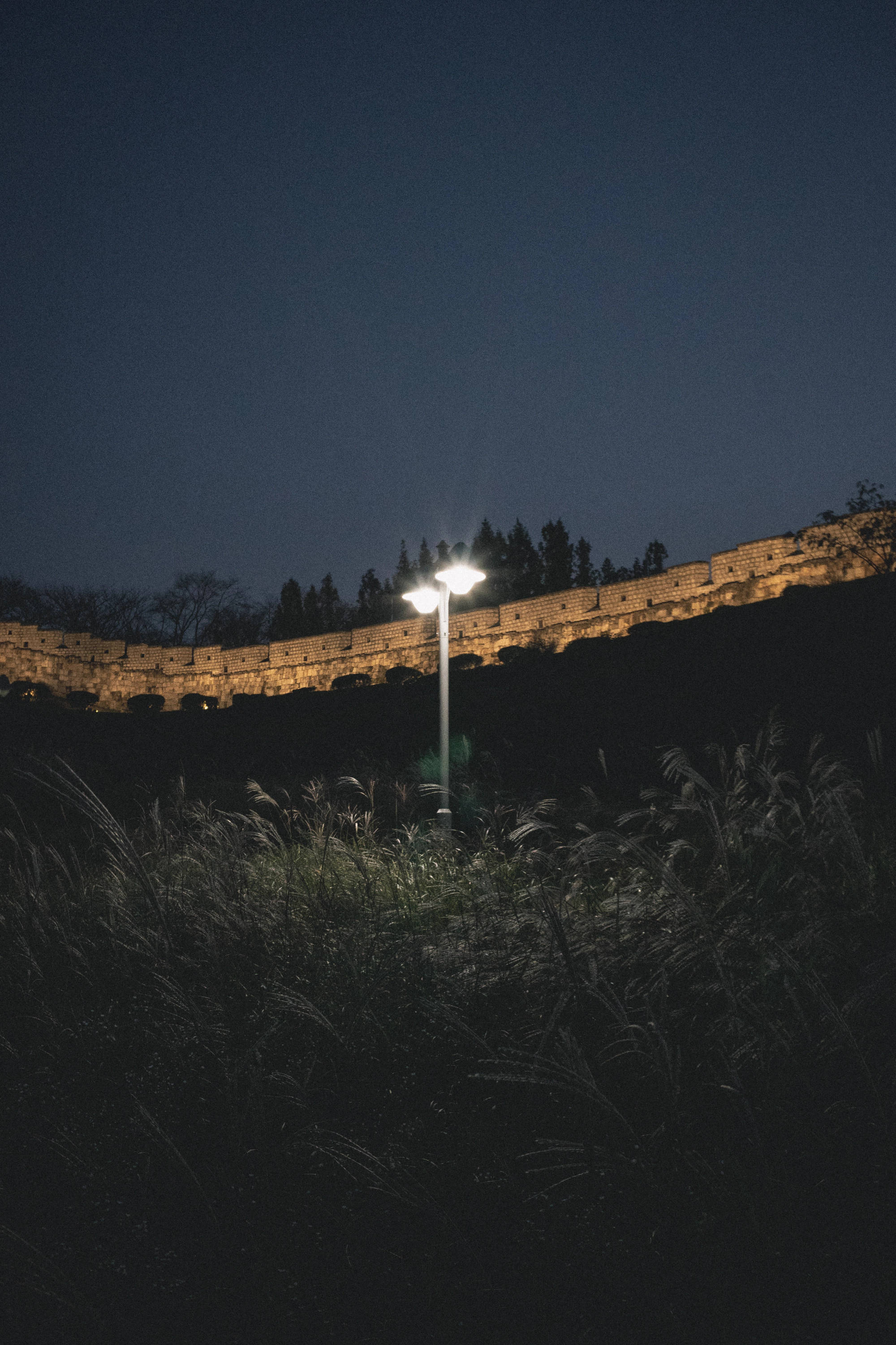 DC Inside 이미지 3