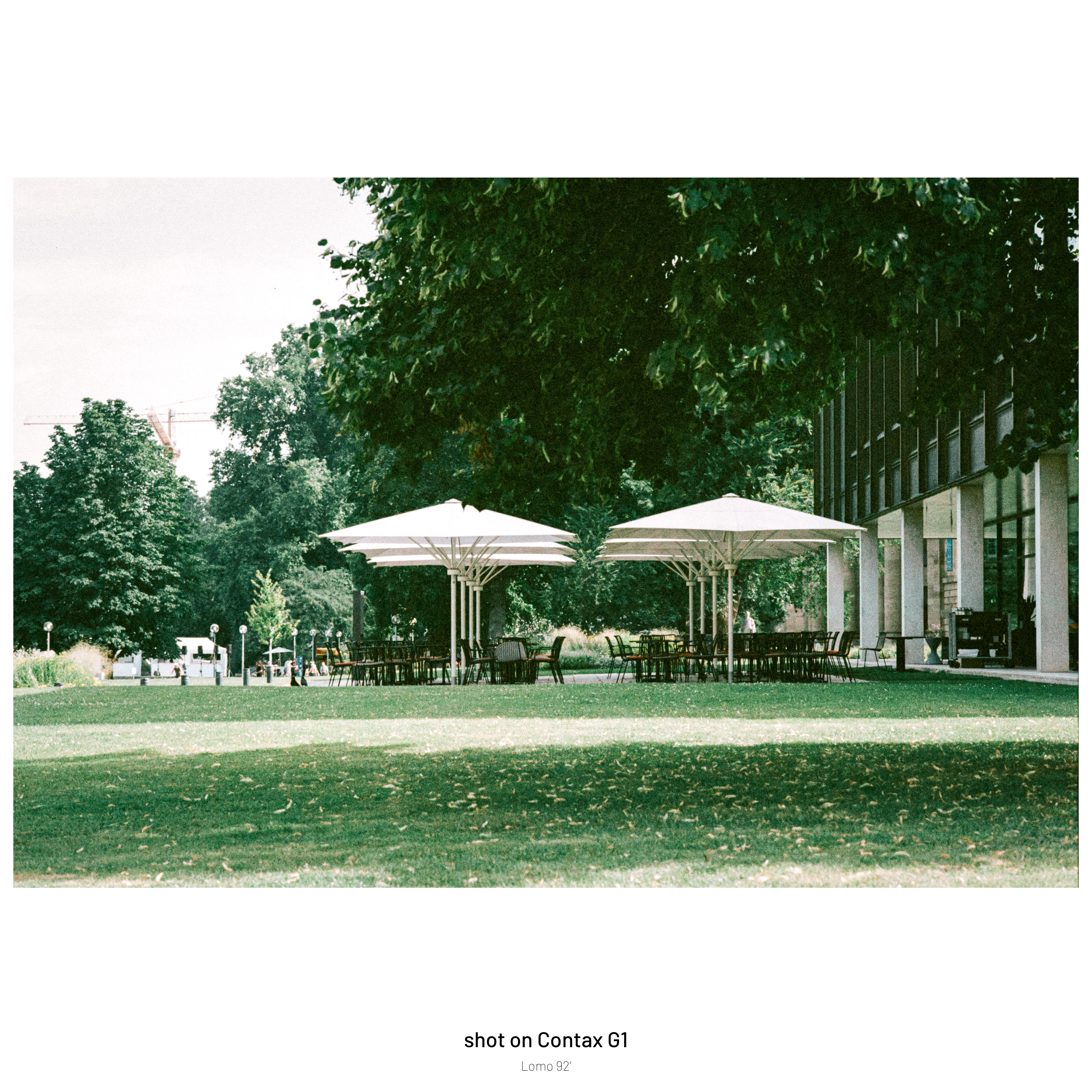 DC Inside 이미지 6