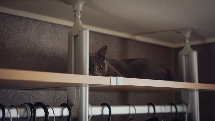 DC Inside 이미지 4