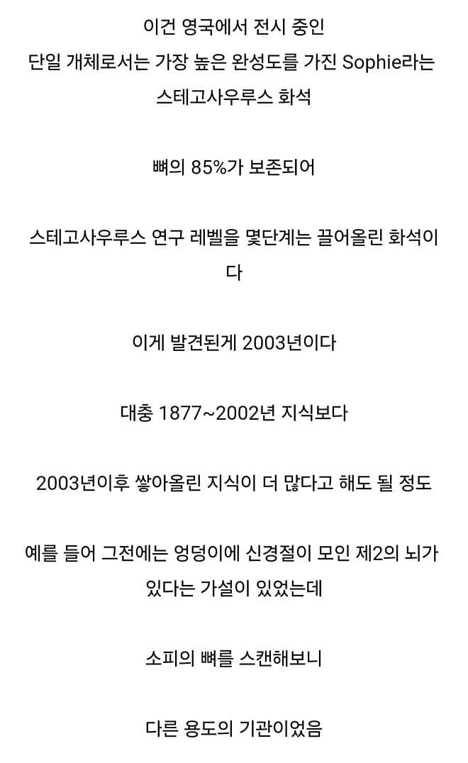 DC Inside 이미지 10