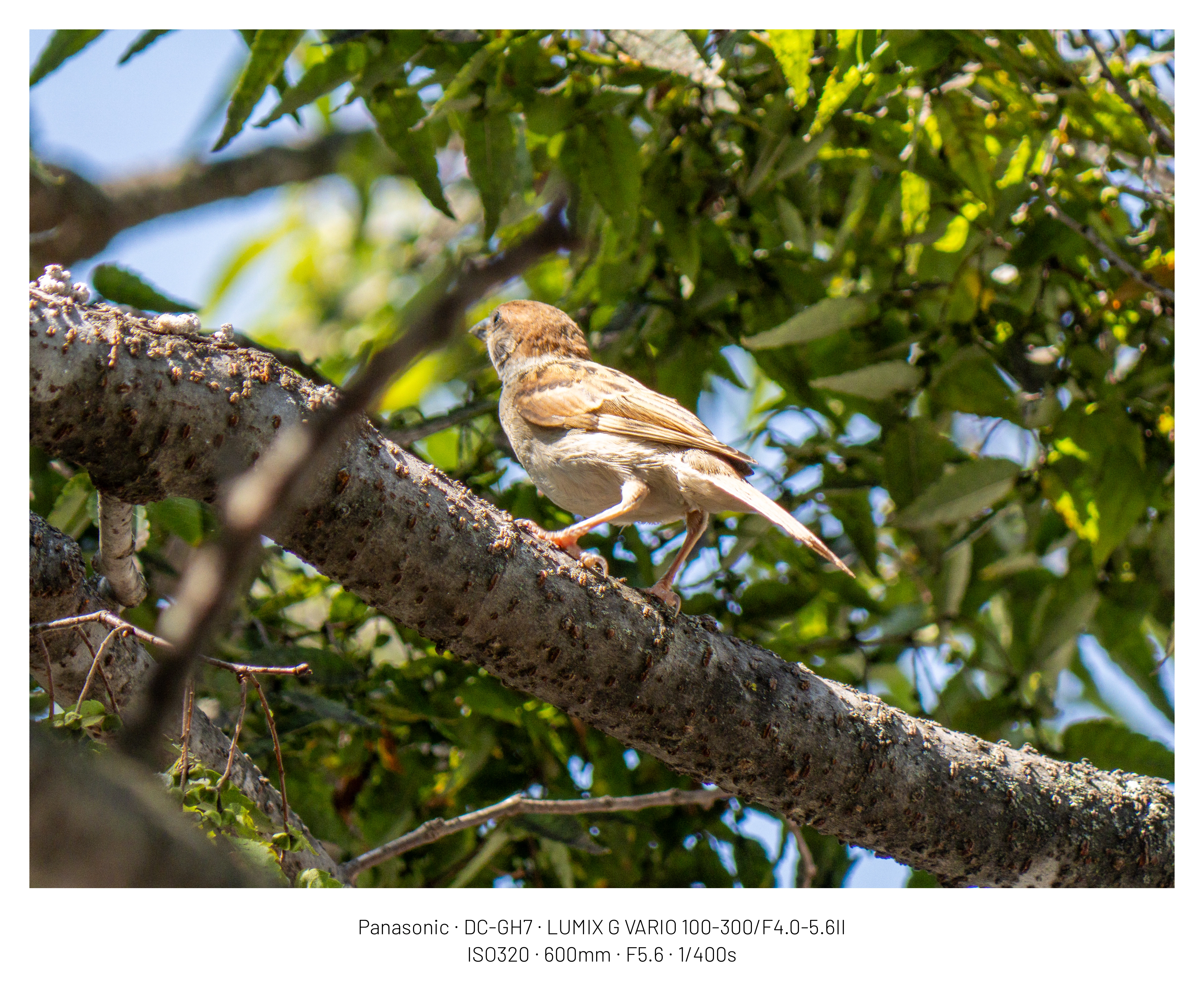 DC Inside 이미지 3