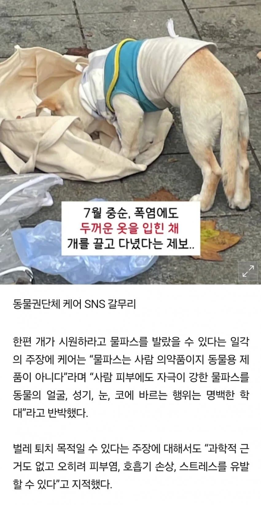 DC Inside 이미지 4