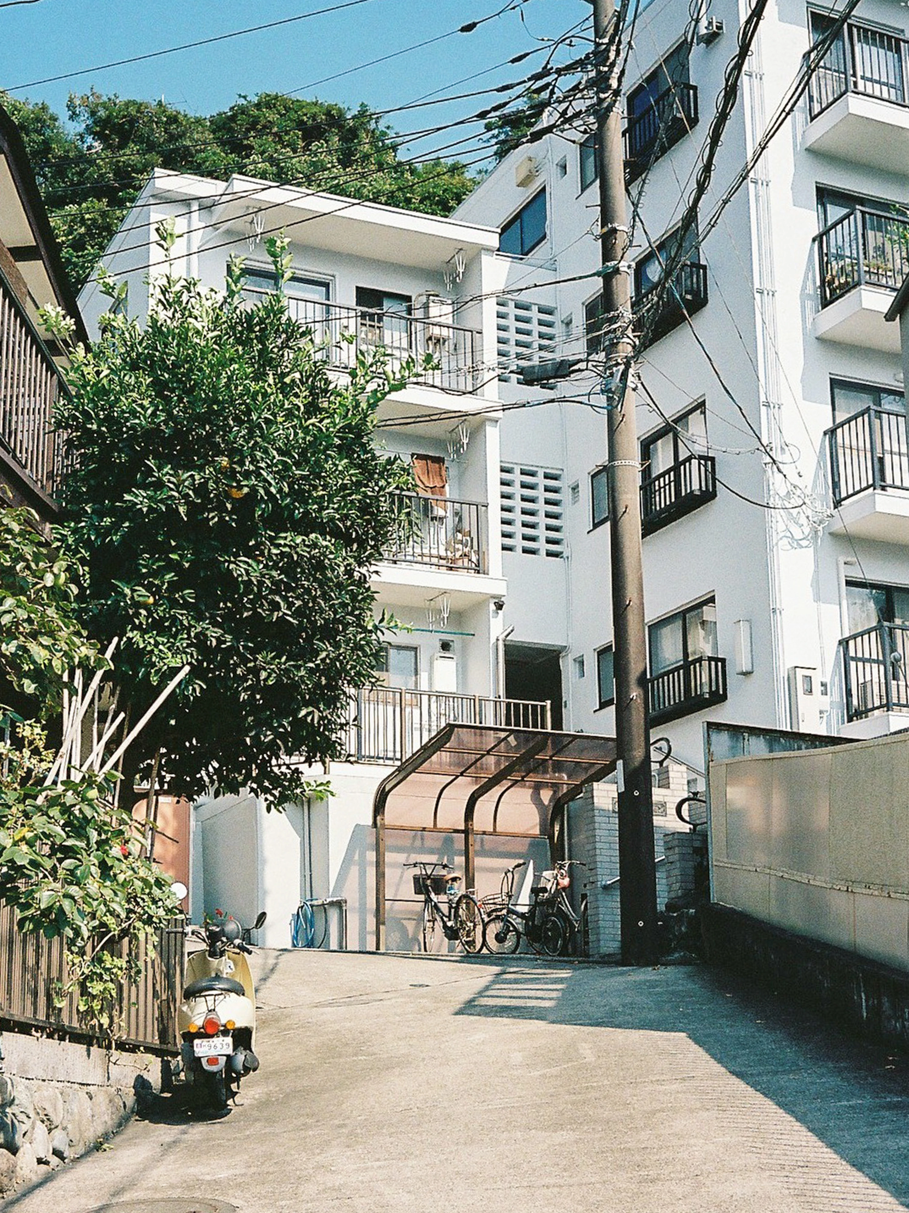 DC Inside 이미지 2