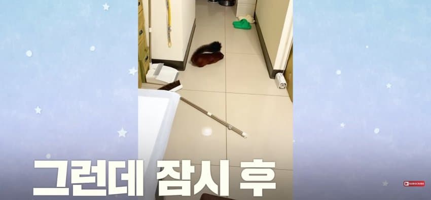 DC Inside 이미지 3