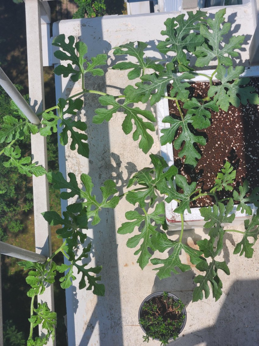 DC Inside 이미지 10