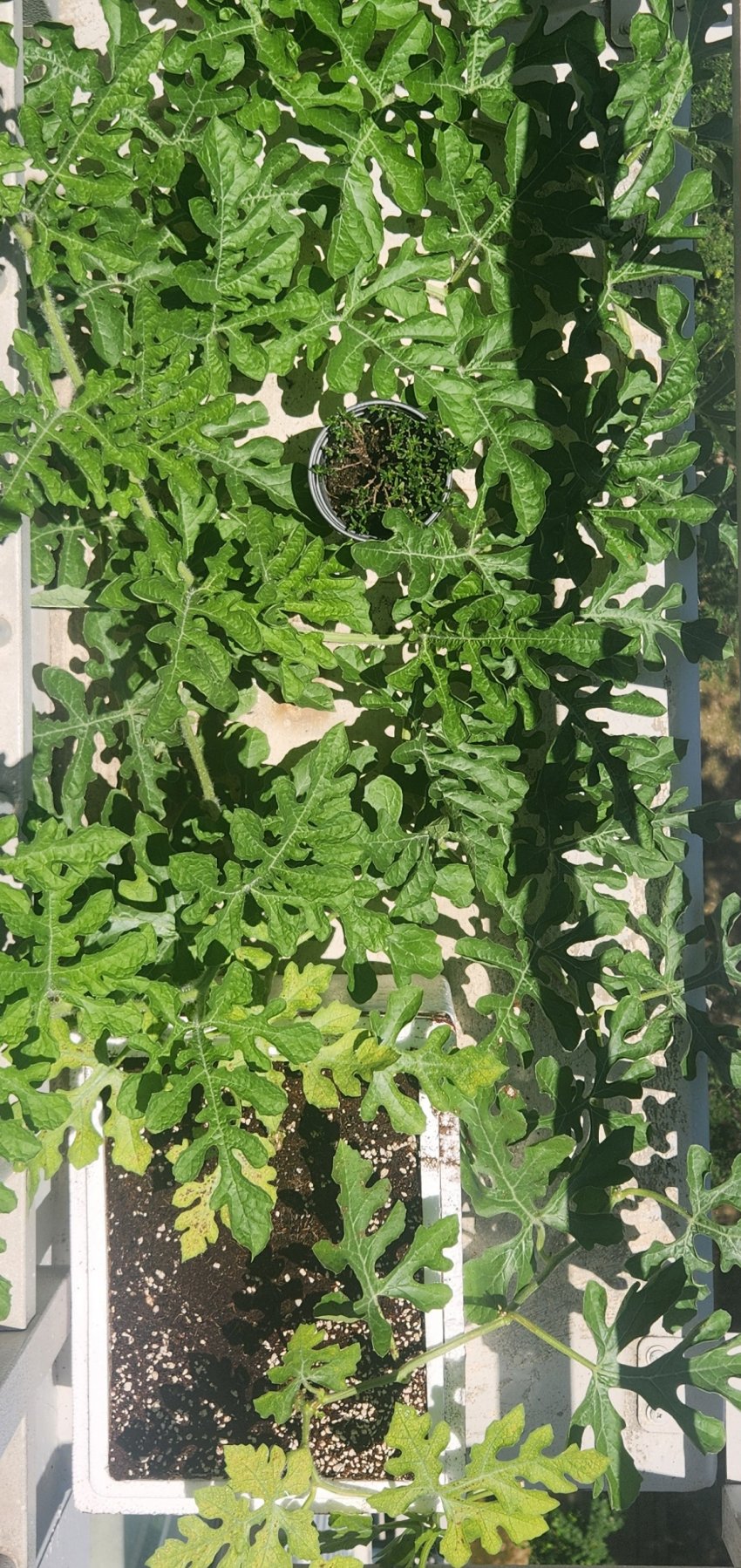 DC Inside 이미지 17