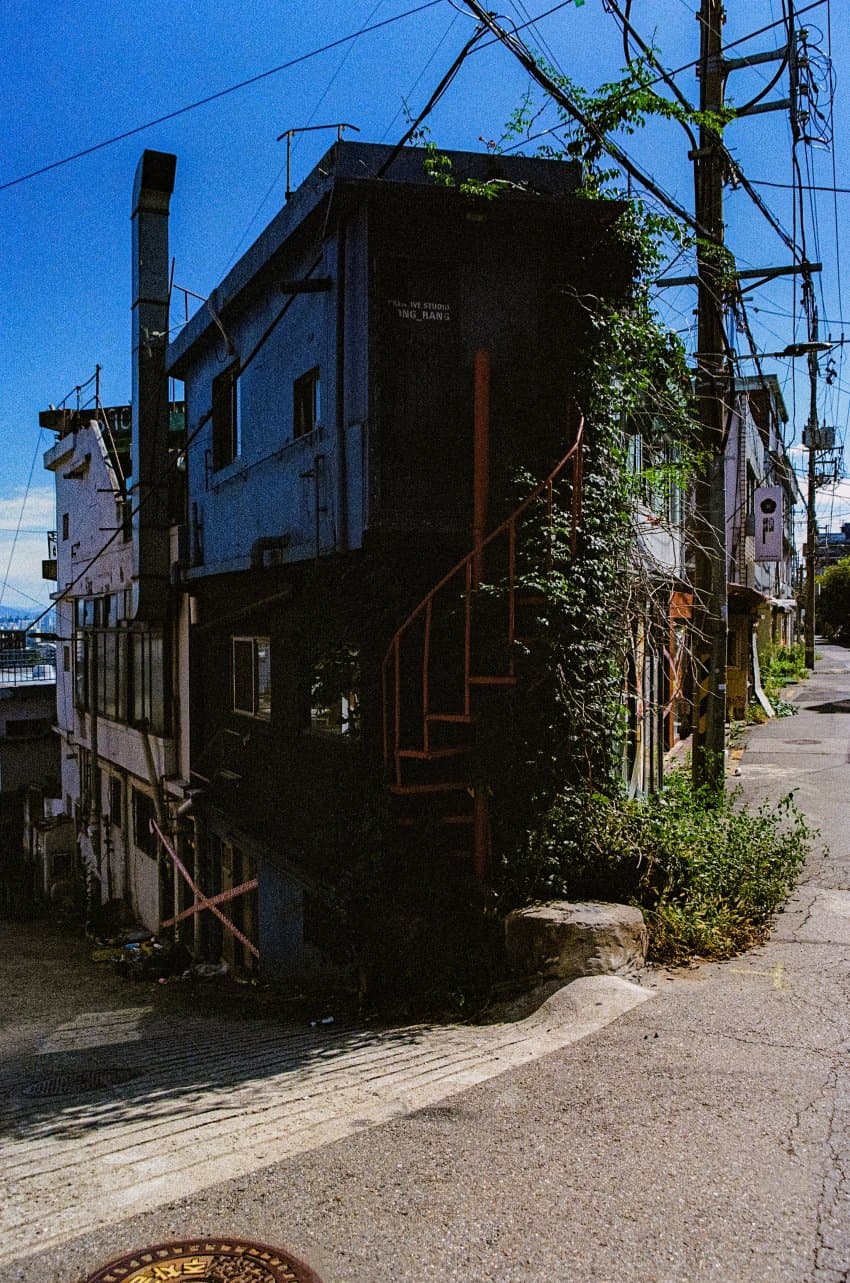 DC Inside 이미지 17