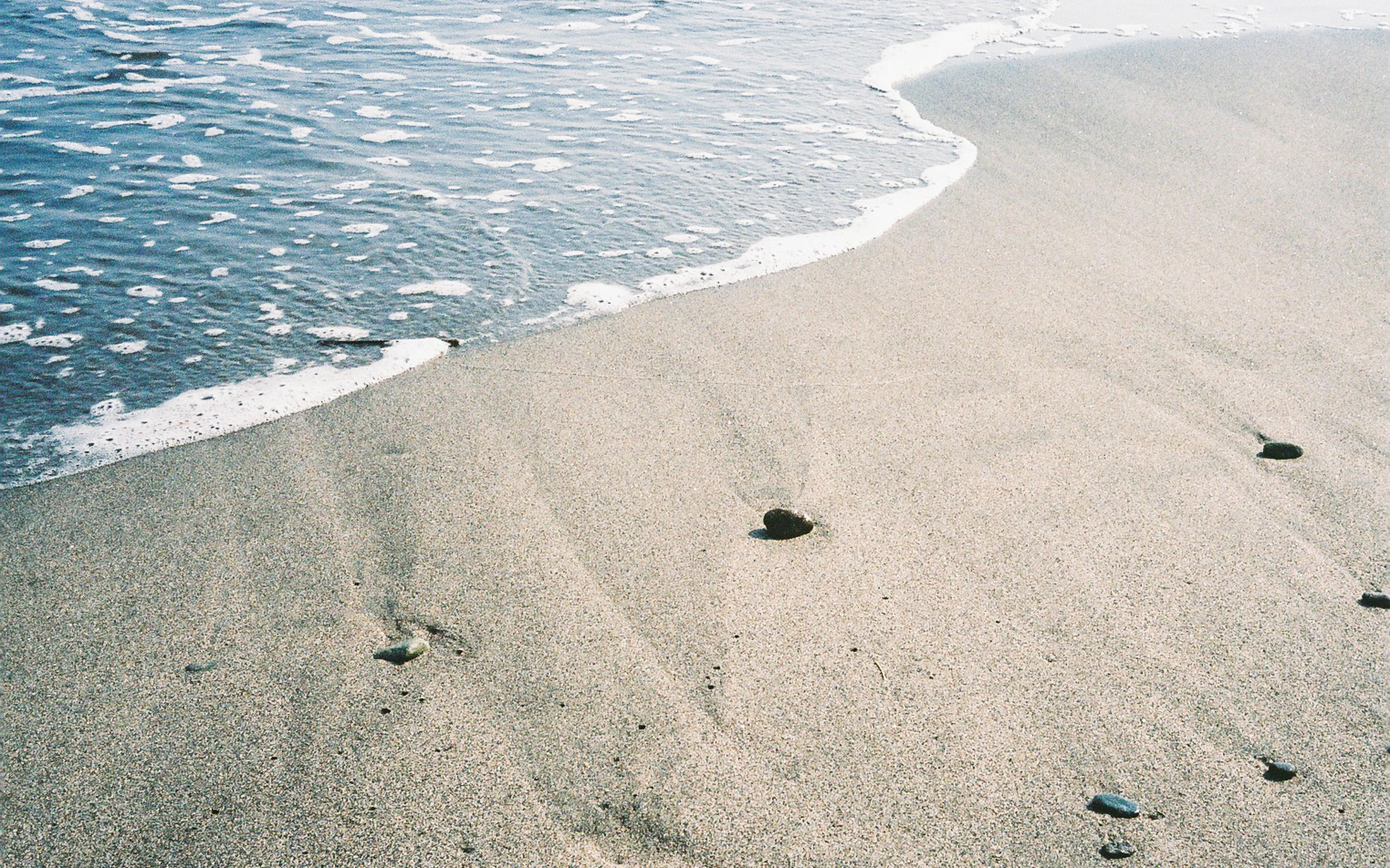 DC Inside 이미지 14